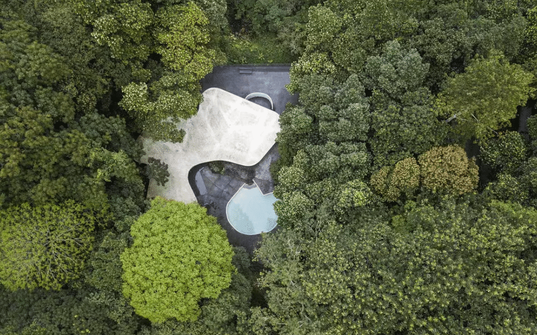 Casa das Canoas – A genialidade de Niemeyer integrada à natureza