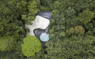 Casa das Canoas – A genialidade de Niemeyer integrada à natureza